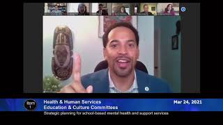 March 24, 2021 - HHS/E&C Committee Worksession