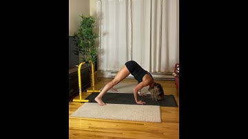 LEBERT EQUALIZER WORKOUT