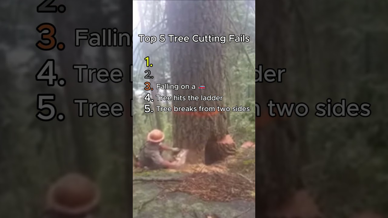 Top 5 Tree Cutting Fails! 