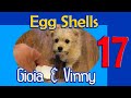 Video 17: Egg Shells