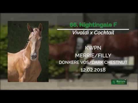 66 Nightingale F