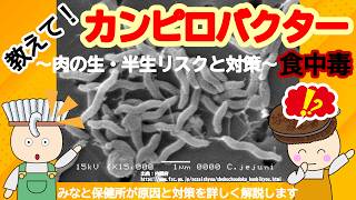 教えて!カンピロバクター食中毒/肉の生･半生リスクと対策