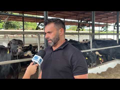 Fazenda em Alagoas triplica produção de leite e vira exemplo no campo - 26/06/2026
