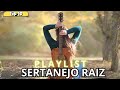 Sertanejo Raiz As Mais Tocadas do Ano 2025