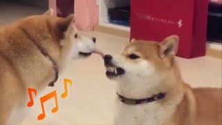 Mlem Boys Song