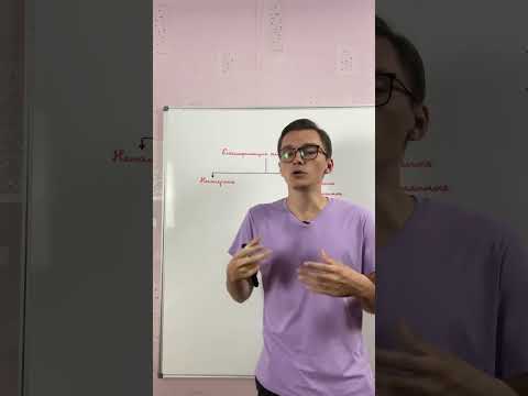 Классификация аминокислот
