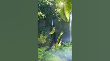 روائع التلاوة(الذين يقولون ربنا اننا امنا فاغفر لنا ذنوبنا) #قرآن_كريم_راحة_نفسية_ارح_سمعك #اكسبلور