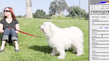 Photoshop CS5 Tutorials-6 Camera Raw Essentials 5.Clipping