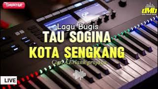DMB || LAGU BUGIS TAU SOGINA KOTA SENGKANG || Cipt. A.Erlank prajaya || live tiktok