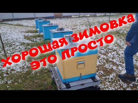 Видео: Защо много хора напускат местопроизшествието