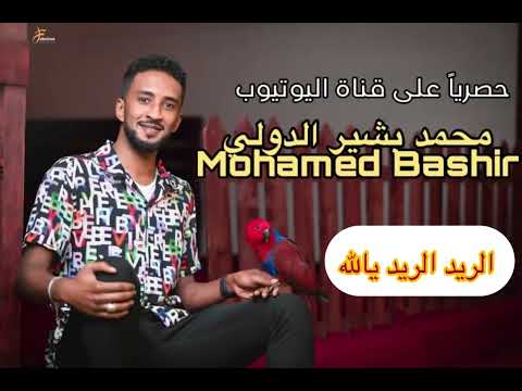 الريد الريد يالله محمد بشير الدولي Mohamed Bashir اغاني سودانيه 2023