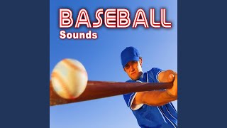 Ambience from a Large Baseball Crowd