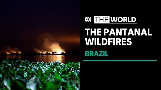 Brazil battles wildfires in the world's largest tropical wetland | The World