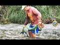 PESCA de lisas con #ATARRAYA en una poza del río