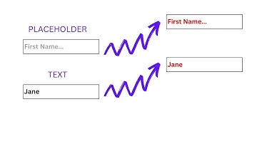 Change color of placeholder and text entered | HTML - CSS