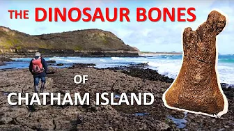 The Chatham Island Dinosaur Locality