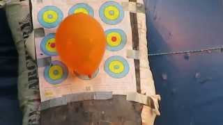Crossbow Hit No Scope-HHA or Sight ! 65 Yards 9 in balloon