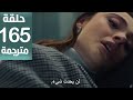 مسلسل المنظمة الحلقة 165 مترجمة كاملة  جارى الترجمة