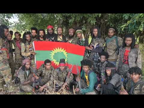 Oduu Ammee Injifannoo WBO Guyyaa Har Aa Sadaasa 22 2025