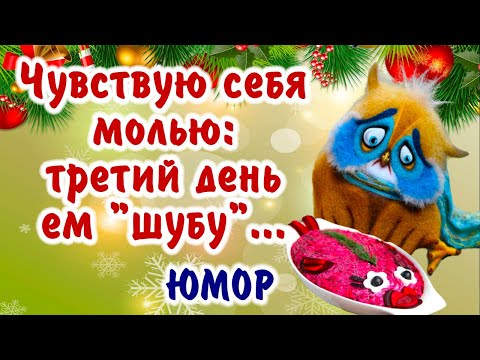 Сколько нас?! Доброе утро 2 января! С наступившим! Продолжаем веселиться! Юмор, позитив.