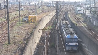 【原色桃+白桃ムド】JR貨物 EF210-153号機+EF210-121号機+コキ1B 岡A21仕業[8764レ] 東京タ行 いつくしま跨線橋通過！[2024.03.30(土)]