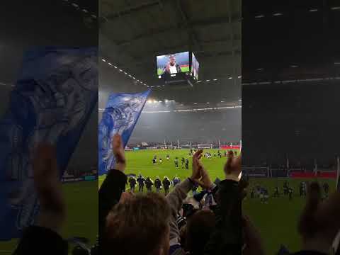 Sieg. Fans feiern