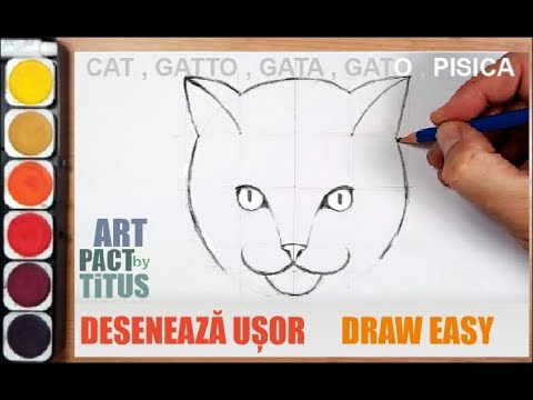 Cum Sa Desenezi Un Caine How To Draw A Dog Husky Youtube