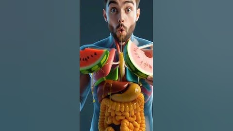 ‎See the journey of watermelon through the human digestive system #anatomy #3danimation #humanbody