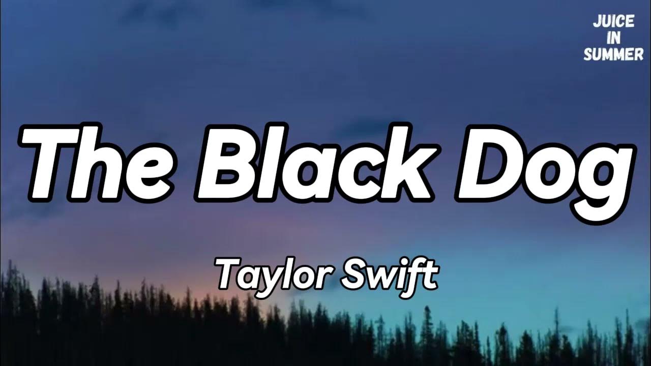 Taylor Swift The Black Dog (Lyrics)🎵 YouTube
