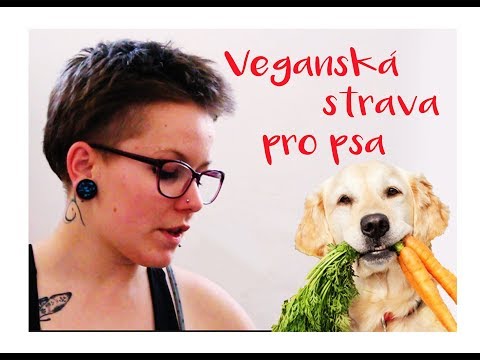 Video: Surová Strava A Vegetariánská Strava Mohou Být Pro Kočky A Psy Nebezpečné