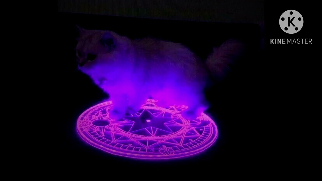 Demonic little gray cat theme by vivivivi (slowed + reverb)