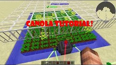 Canola setup tutorial! - SToby