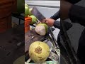 ASMR, Nice coconut cutting skill, it so fantastic