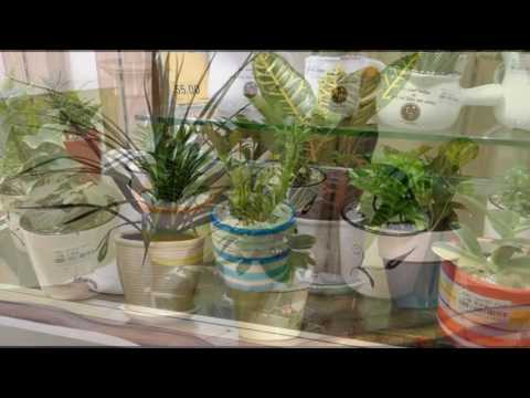  tanaman  hias  dalam  ruang  tamu  YouTube