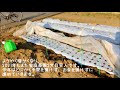 我が家の家庭菜園2021年① ビニールトンネル栽培、ポケット保温発芽、玉ねぎ、ねぎ、にんにく、そら豆、にんじん、大根、ほうれん草、かぶ