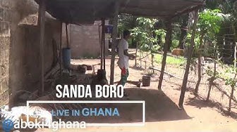 Sandaboro Youtube