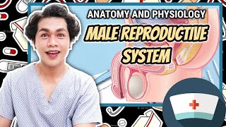 ANATOMY & PHYSIOLOGY: MALE REPRODUCTIVE SYSTEM | ENGLISH TAGALOG DISCUSSION | NEIL GALVE