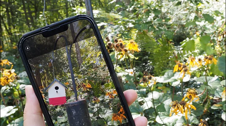 Breakthrough Junior Challenge Submission!