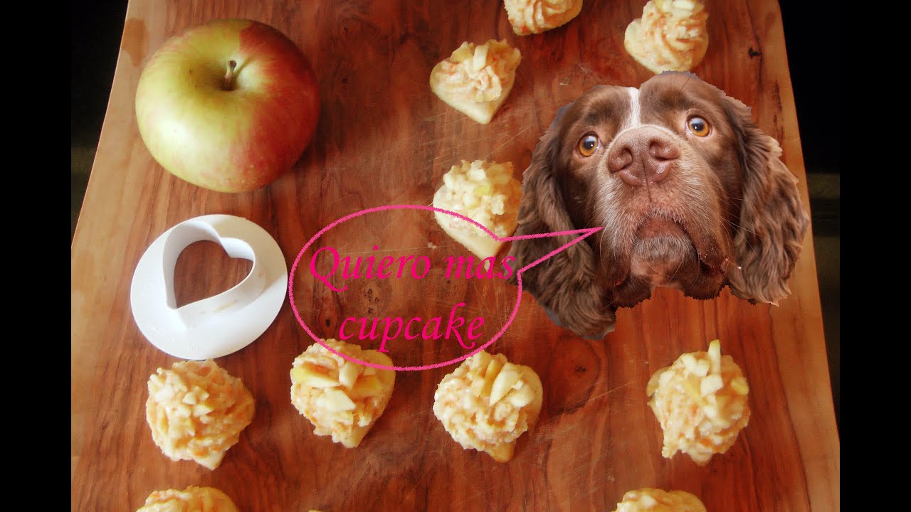 Cómo hice galletas para mis perros, sin horno, cupcakes Muy fácil