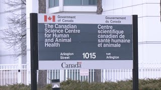 Report urges Canada to end government-research collaborations with China