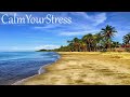 Deep sleep healing music | Sleep music music for insomnia | Stress reducing music [Best sleep songs]