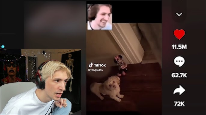 xqc chess meme｜TikTok Search