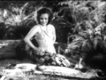 bird of paradise 1932 south pacific island adventure film movie