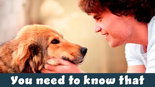 Don't adopt a pet before watching this video by Love For Animals 151 views 1 year ago 6 minutes, 6 seconds
