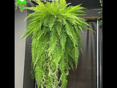กระเช้าเฟิร์นปลอม Artificial fern plant hanging basket