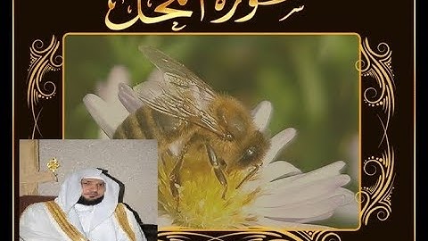 سورة النحل( سورة النعم) للقارئ الشيخ ماهر المعيقلي