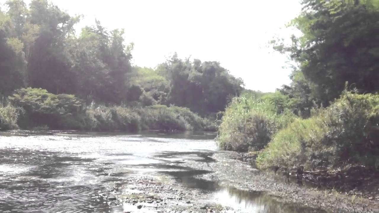 Ride Free or Die Project 1 YouTube