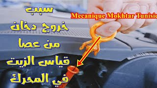 سبب خروج دخان من بلف التبخير ومقياس و فتحة غطاء الزيت السيارة - white smoke from exhaust cold start