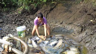 Fishing - Using pumps, pumping water outside the natural lake, Harvesting a lot of big fish