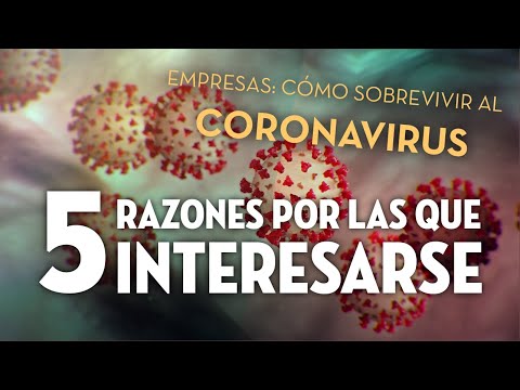 Retiro Corporativo: 5 Razones Por Las Que Deberías Hacerlo